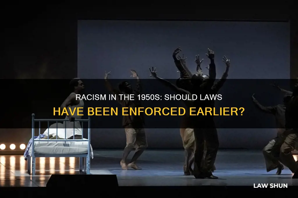 should there have been laws against racism in the 50s