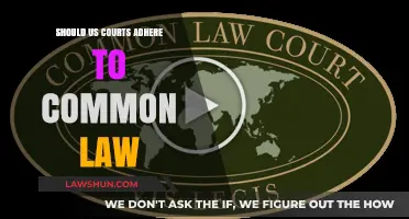US Courts: Common Law or Not?