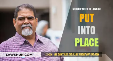 Voter ID Laws: Essential Security Measure or Unnecessary Barrier to Democracy?