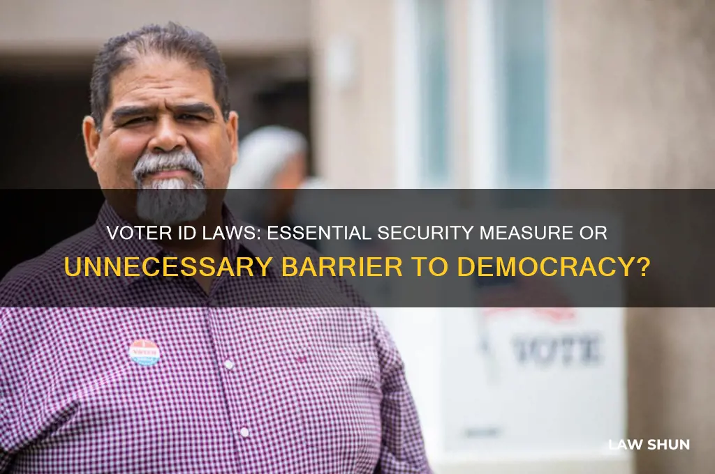 should voter id laws be put into place