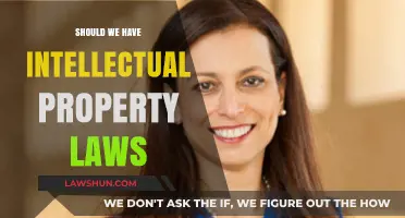 Intellectual Property Laws: Necessary Protection or Hindrance to Innovation?