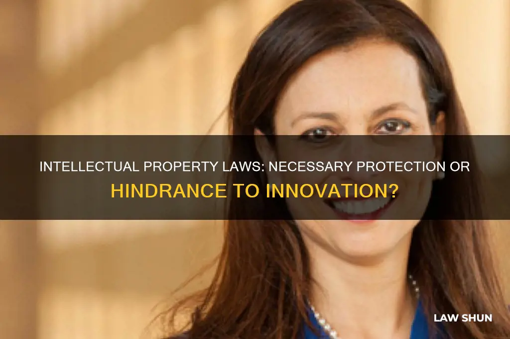 should we have intellectual property laws