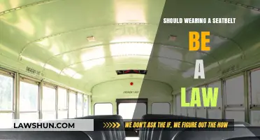 Buckle Up or Pay Up: Should Seatbelt Laws Be Mandatory?