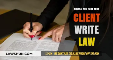 Should Clients Draft Legal Documents? Pros, Cons, and Best Practices