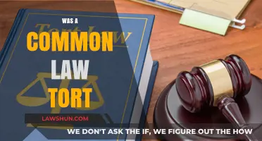 Tort Law: Understanding Common Law Torts