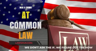 Common Law Crimes: What Are They?