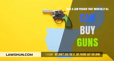 Mentally Ill Can Now Buy Guns: New Law Explained