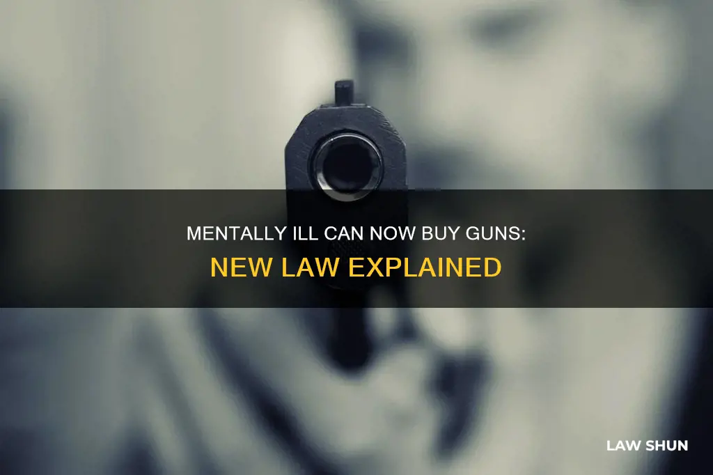 was a law passed that mentally ill can buy guns