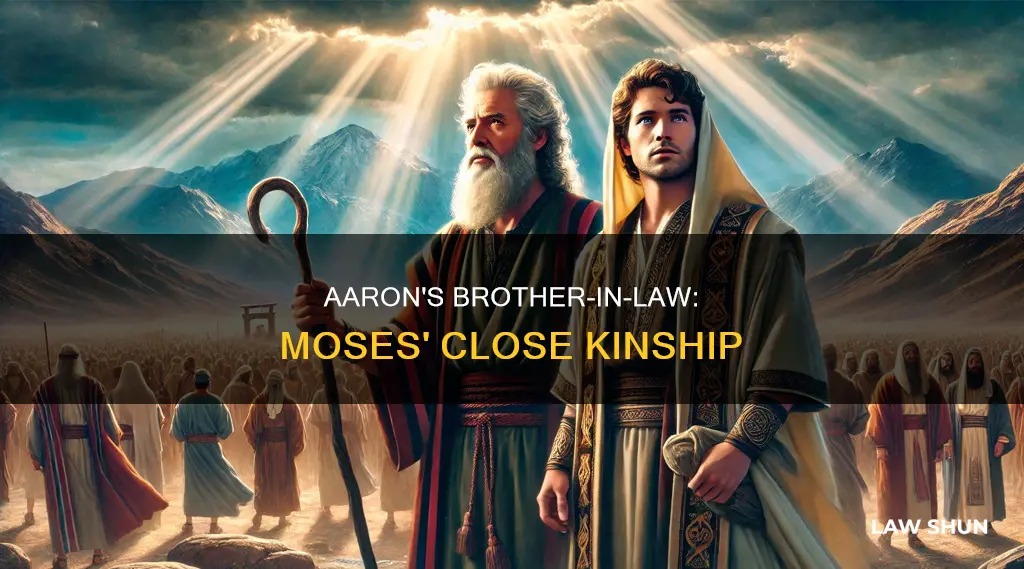 was aaron moses brother in law