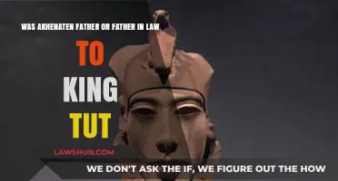 Akhenaten: King Tut's Father or Father-in-Law? Unraveling Royal Lineage