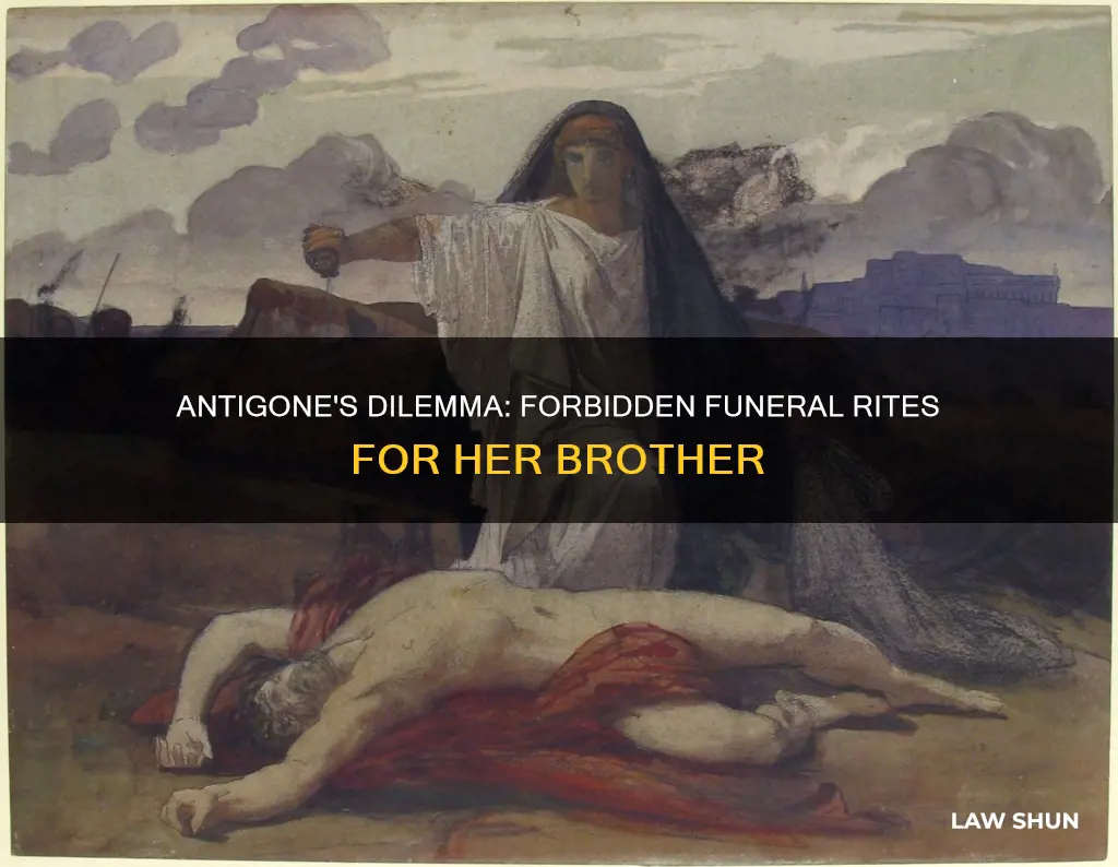 was antigone forbidden by law to bury her brother
