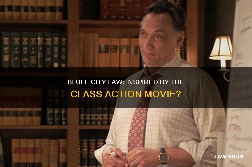 was bluff city law based on the class action movie