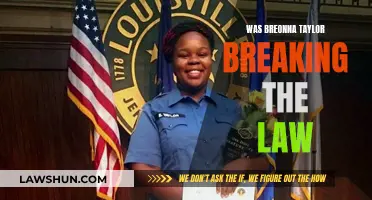 Who Was Responsible for Breonna Taylor's Death?