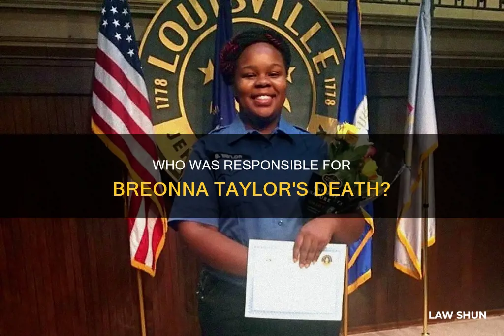 was breonna taylor breaking the law