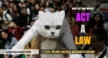 Was the Cat and Mouse Act a Law? Unraveling Its Legal Status