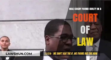 Bill Cosby's Verdict: Guilty or Not Guilty in Court?