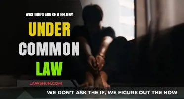 Drug Abuse: Common Law Felony?