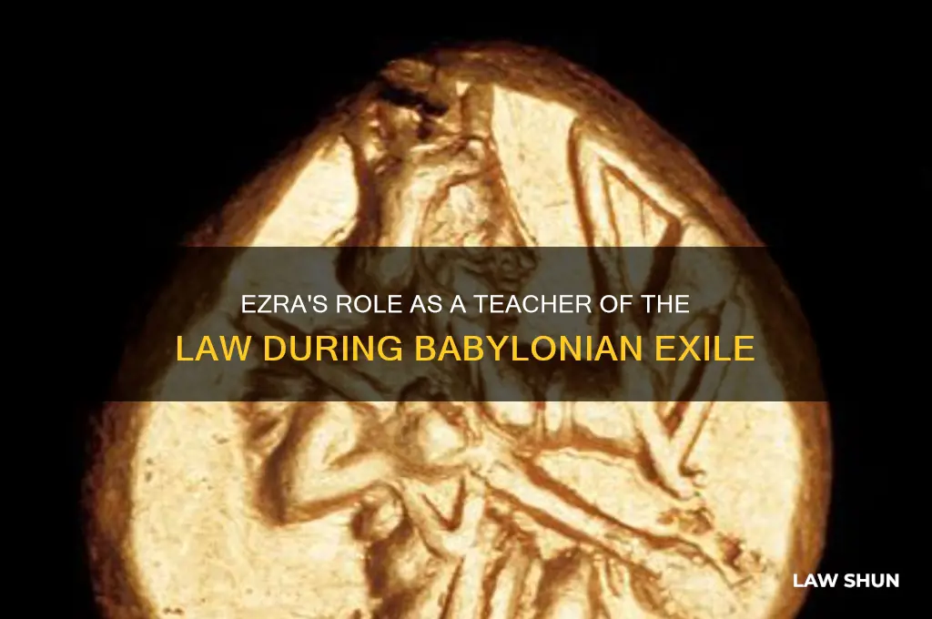 was ezra a teacher of the law while in exile