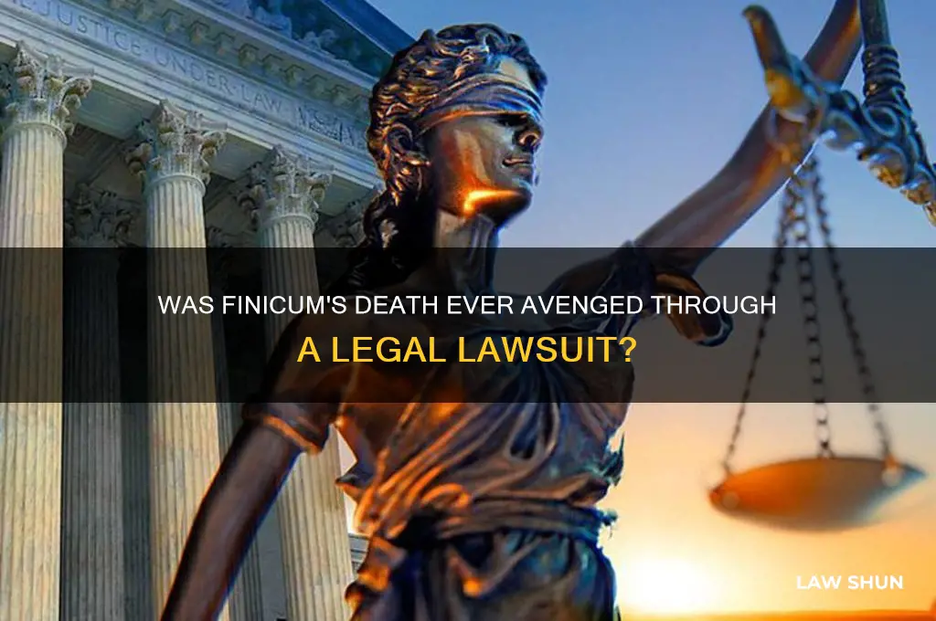 was finicam ever avenged by law suit