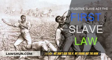 The Fugitive Slave Act: America's First Federal Slave Law?