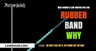 Does Hooke's Law Apply to Rubber Bands? A Detailed Analysis