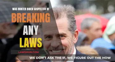 Hunter Biden: Accused of Breaking Laws?