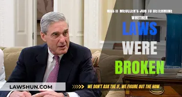Mueller's Role: Determining Broken Laws or Investigating Evidence?