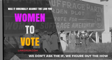 Was Women's Suffrage Illegal? Uncovering the History of Voting Rights