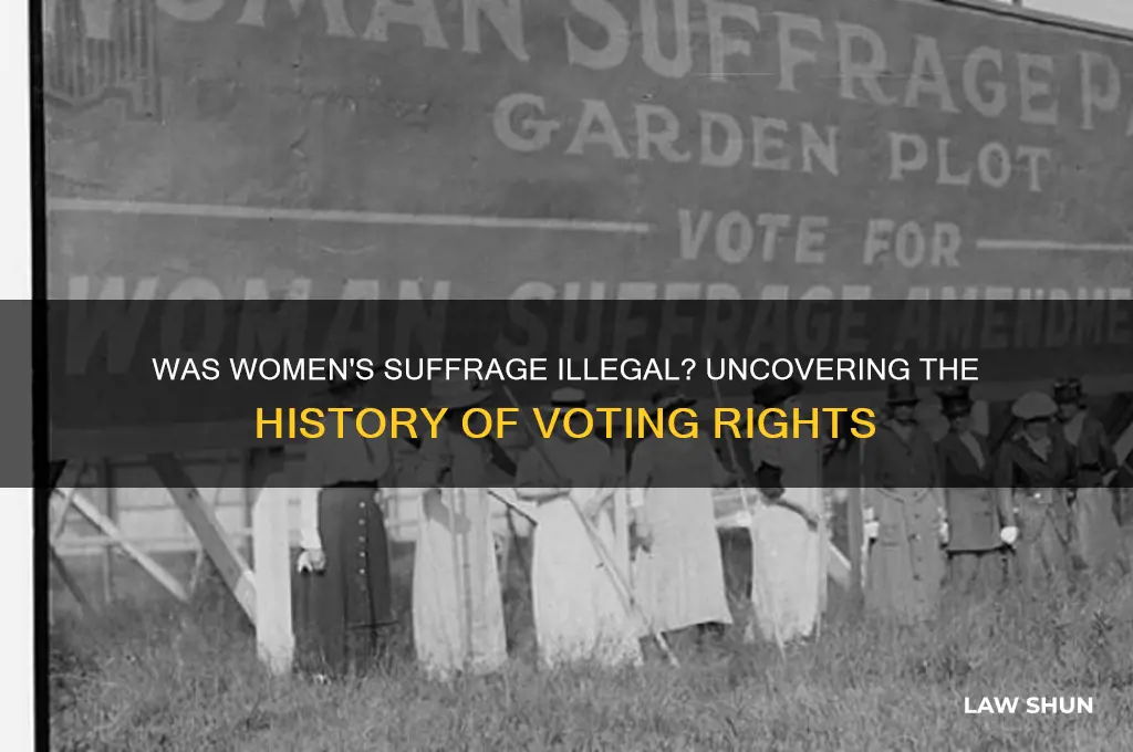 was it originally against the law for women to vote