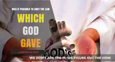 Obeying God's Law: Feasibility, Faith, and Human Limitations Explored