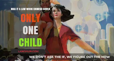 China's One-Child Policy: A Historical Law and Its Impact