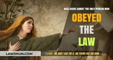 Did Jesus Alone Perfectly Obey the Law? Exploring Divine Compliance