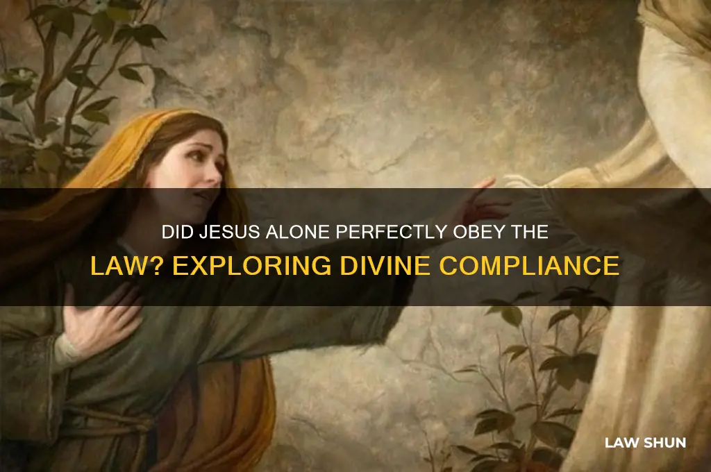 was jesus christ the only perosn who obeyed the law