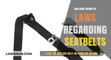 Kant's Perspective on Seatbelt Laws: A Philosophical Inquiry