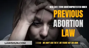 Abortion Law: Late-Term Abortion Rights Previously Protected?