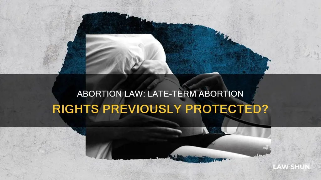 was late term abortionprotected under previous abortion law