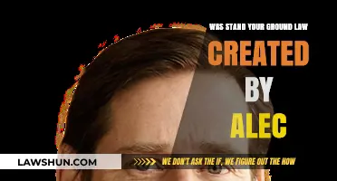 ALEC's Stand Your Ground Law: A Controversial Legacy