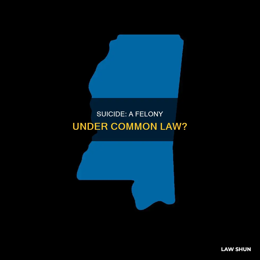 was suicide was considered a felony under common law