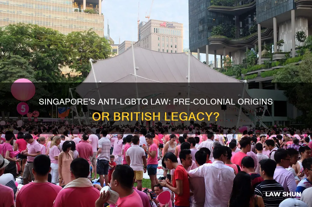was the anti lgbtq law established before british colonized singapore