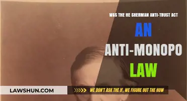 Was the Sherman Anti-Trust Act an Effective Anti-Monopoly Law?