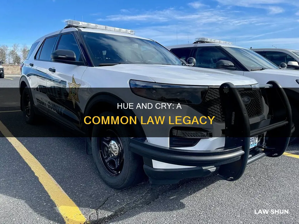 was the hue and cry common law in us