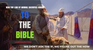 Animal Sacrifice in the Bible: Added Law or Original Command?