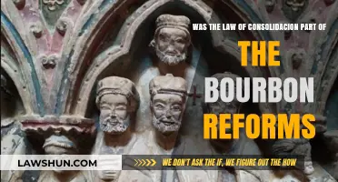 Bourbon Reforms: Did the Law of Consolidación Play a Role?