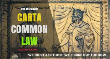 The Magna Carta: Foundation of Common Law
