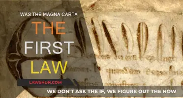 The Magna Carta: A Law Before Laws?