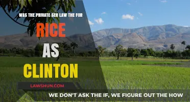 Private Sector Law: Clinton's Rice Policy Explained and Analyzed