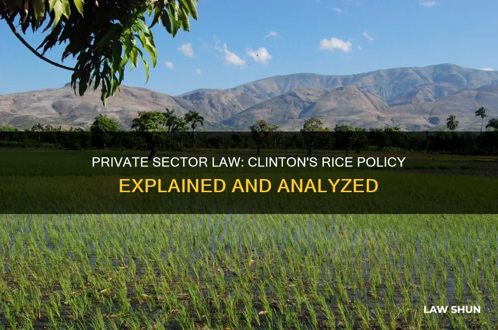 was the private ser law the for rice as clinton