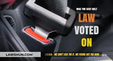 Was the Seat Belt Law Voted On? Unraveling the Legislative History