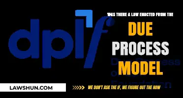 Exploring the Legal Origins of the Due Process Model