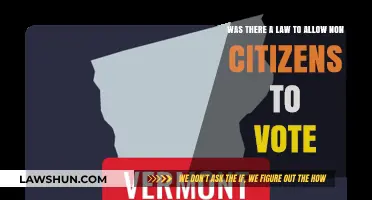 Non-Citizen Voting Rights: Historical Laws and Modern Debates Explored